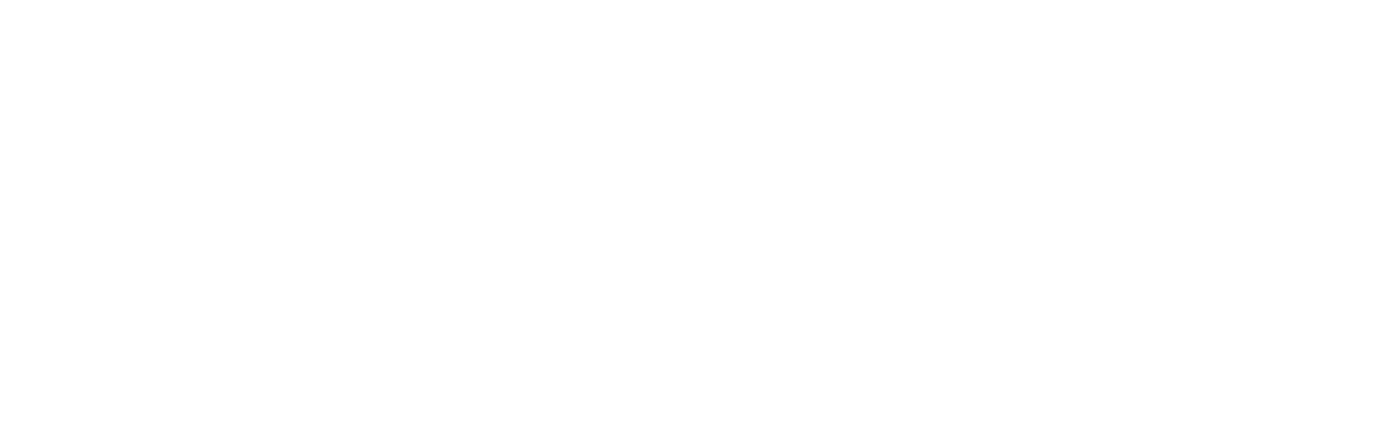 Financial Integrity Services